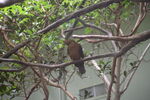 DSC_9095.JPG
